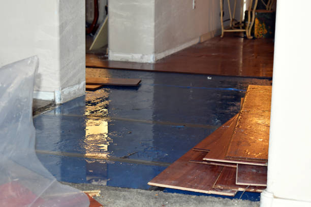 Professional Water Damage Restoration technician working in Middletown, DE